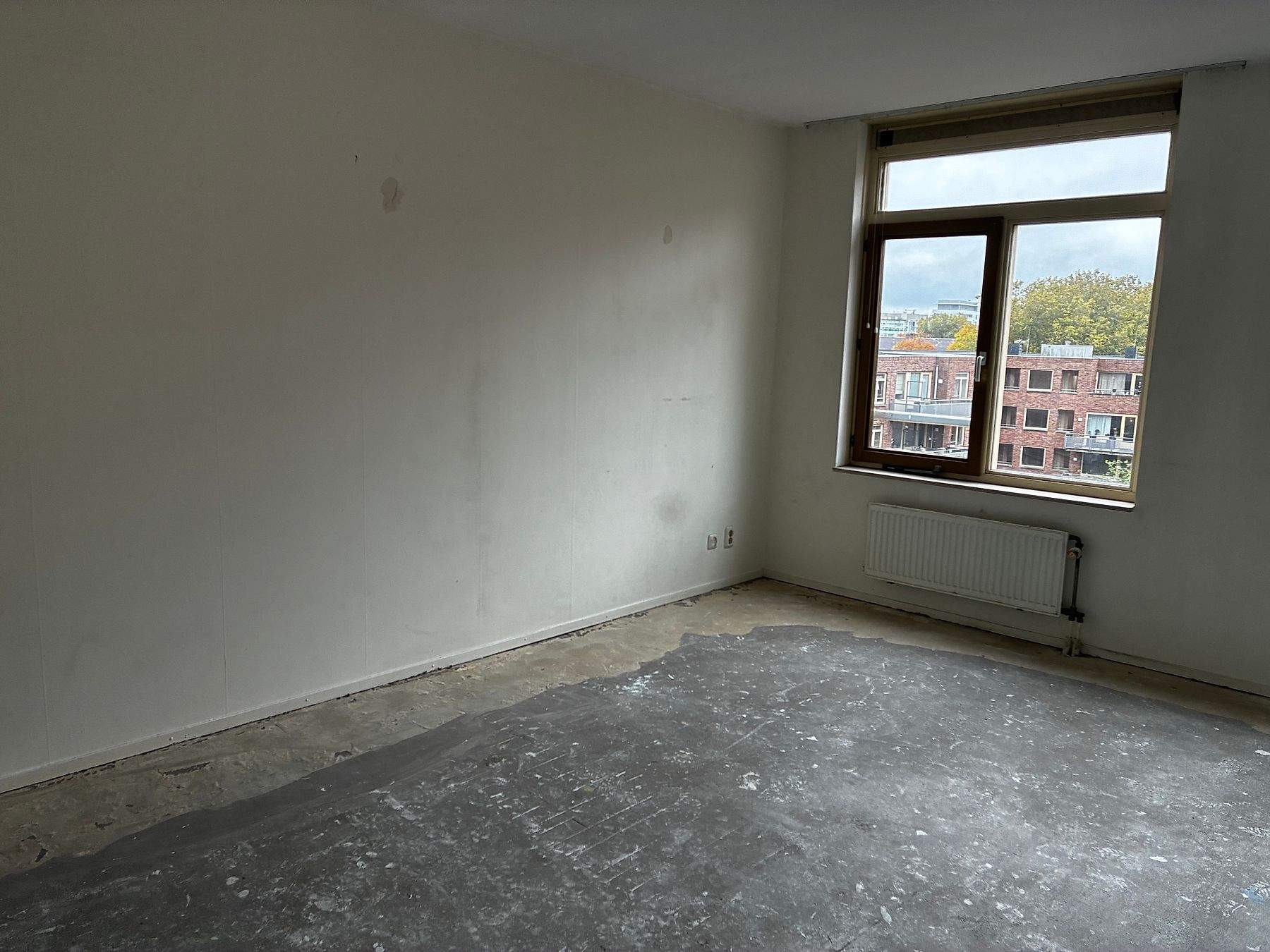 Image 6 of 8