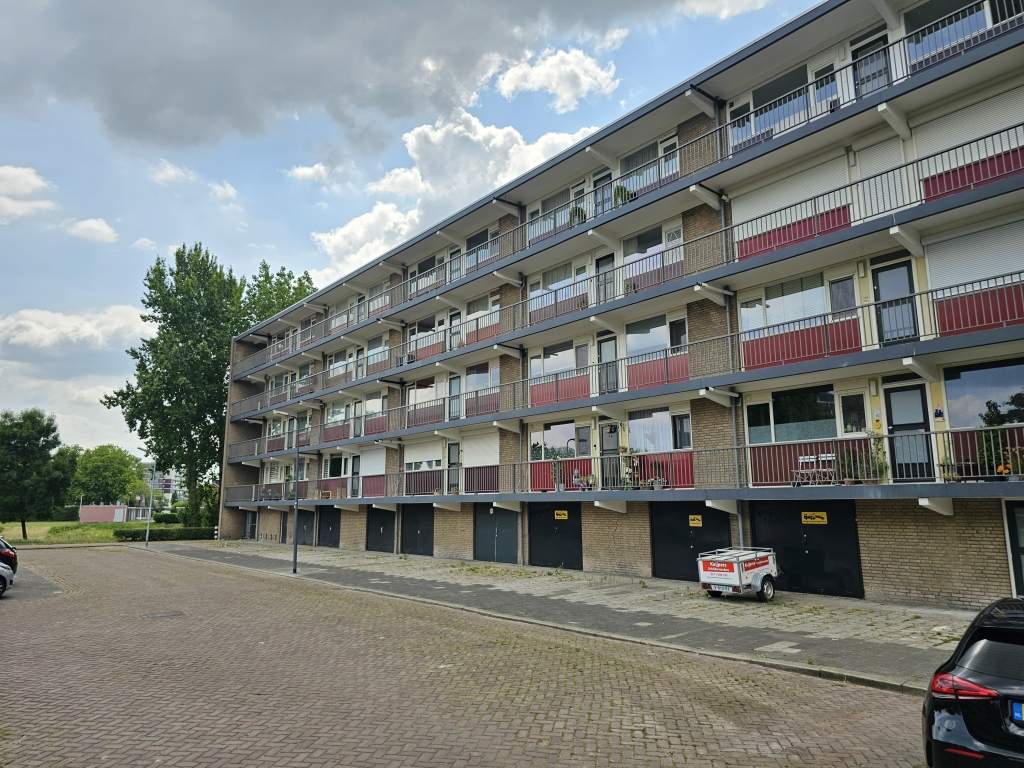 Image 1 of 20