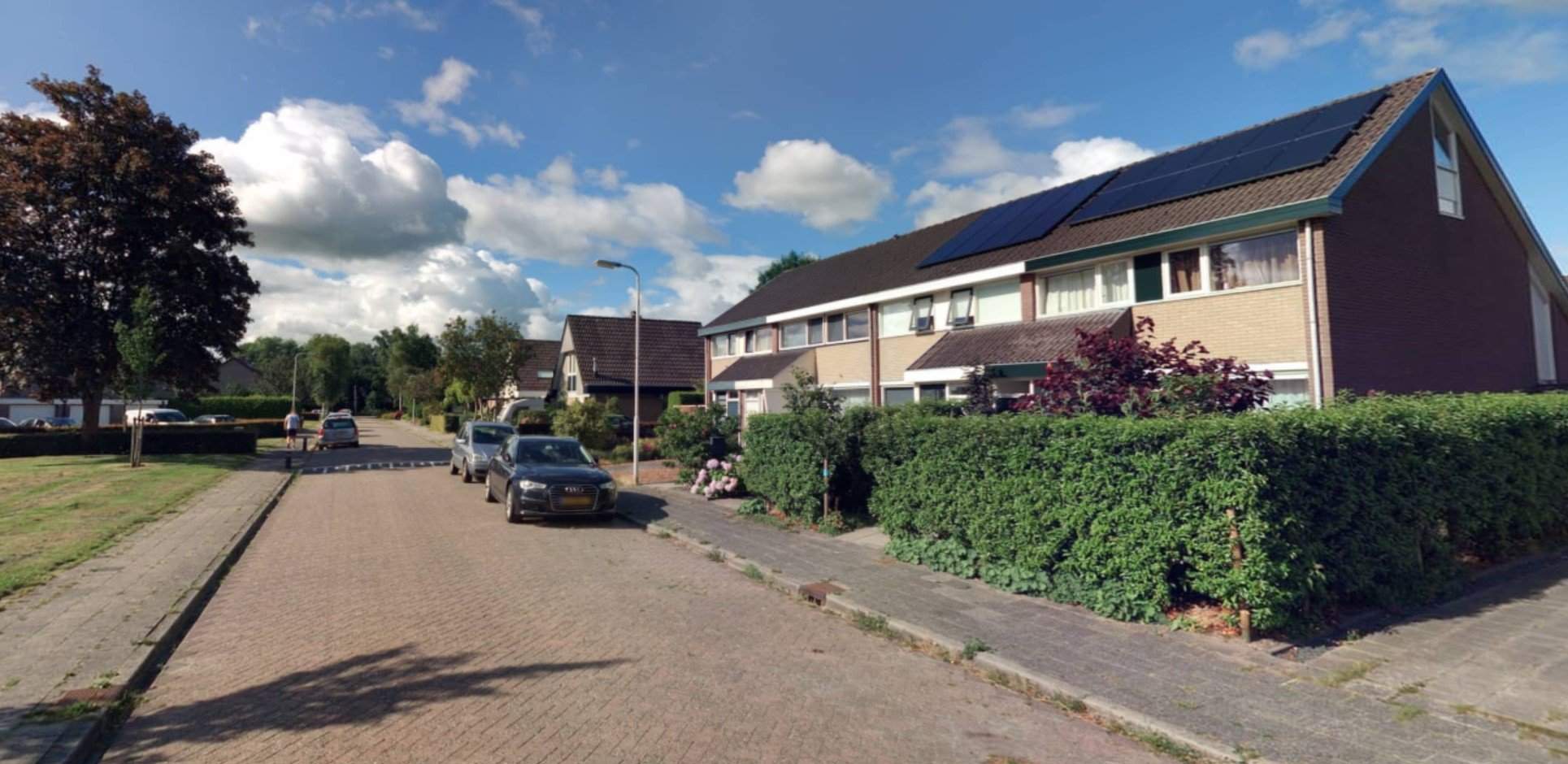 Afbeelding 2 van 3