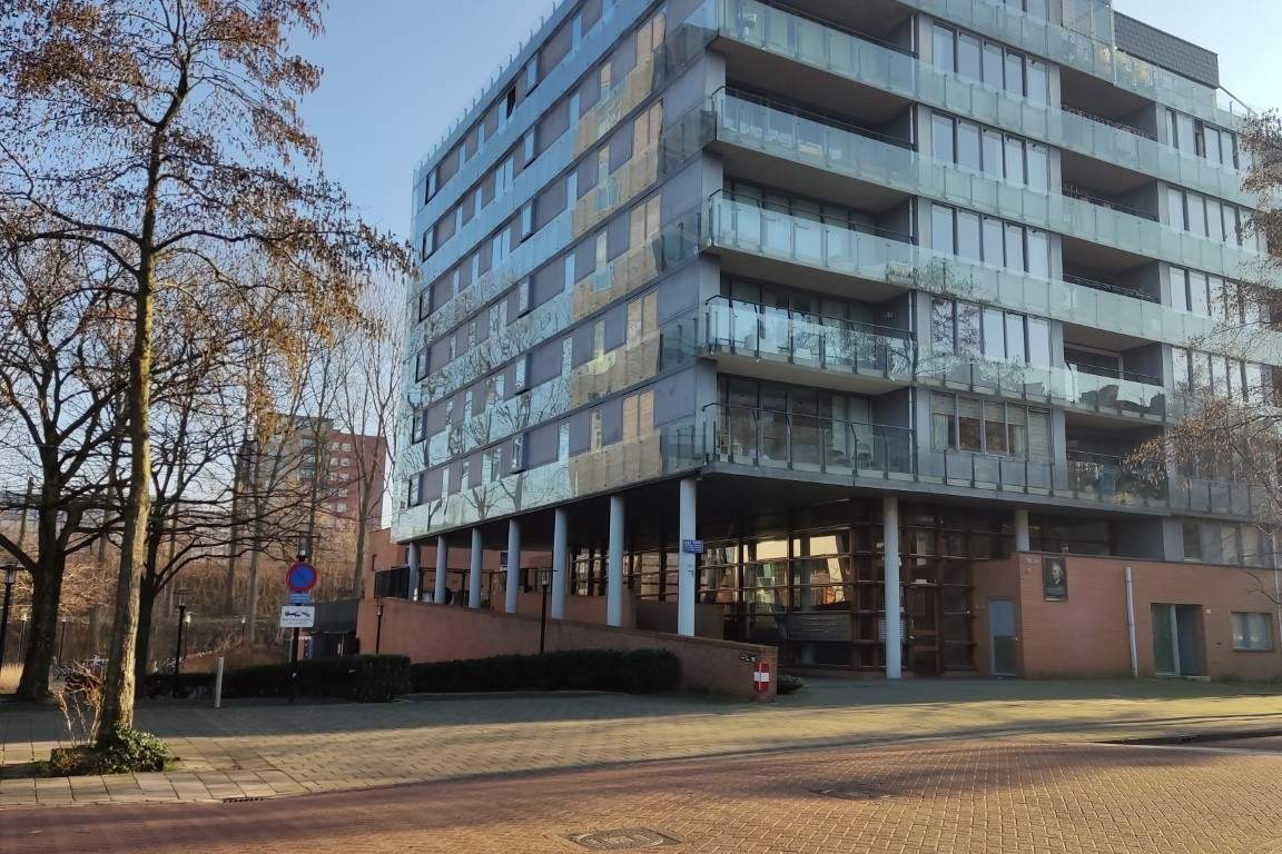 Afbeelding 3 van 9