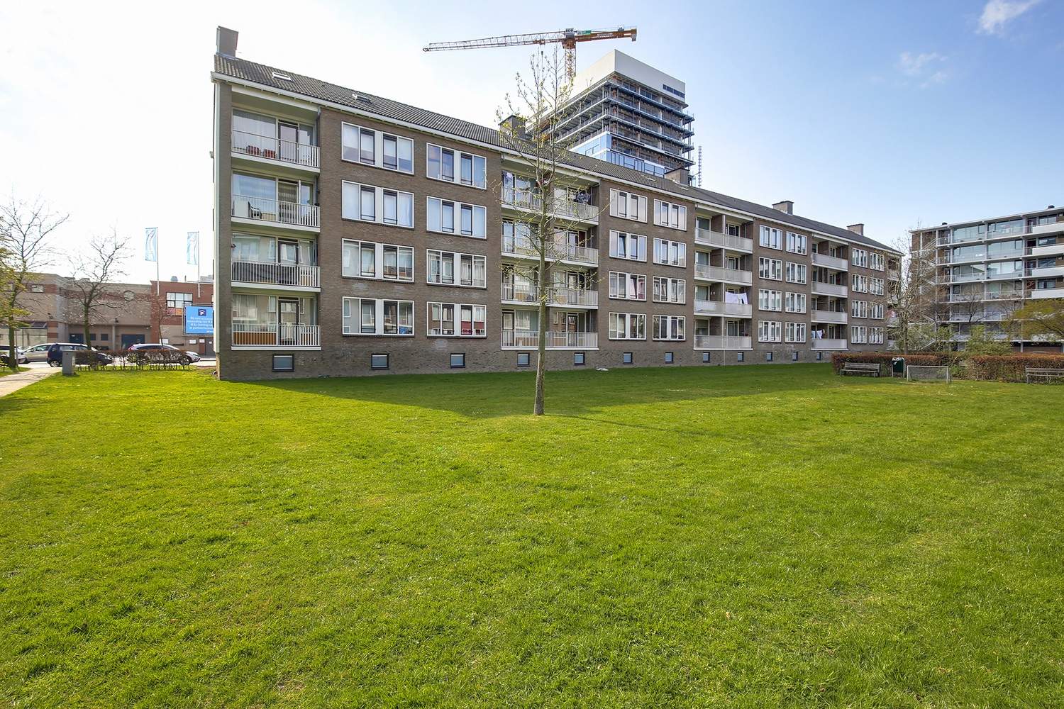 Afbeelding 2 van 6