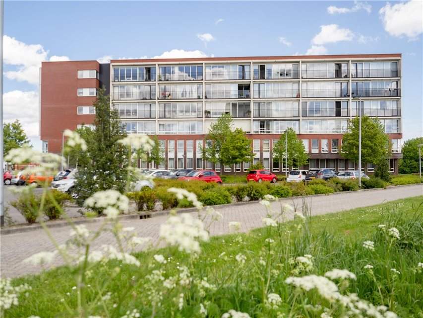 Afbeelding 2 van 6