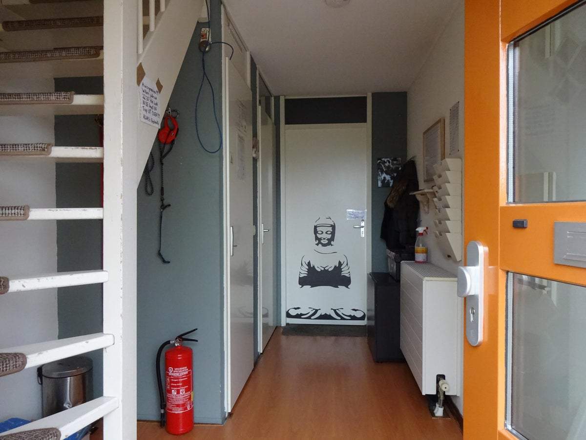 Bild 2 von 7