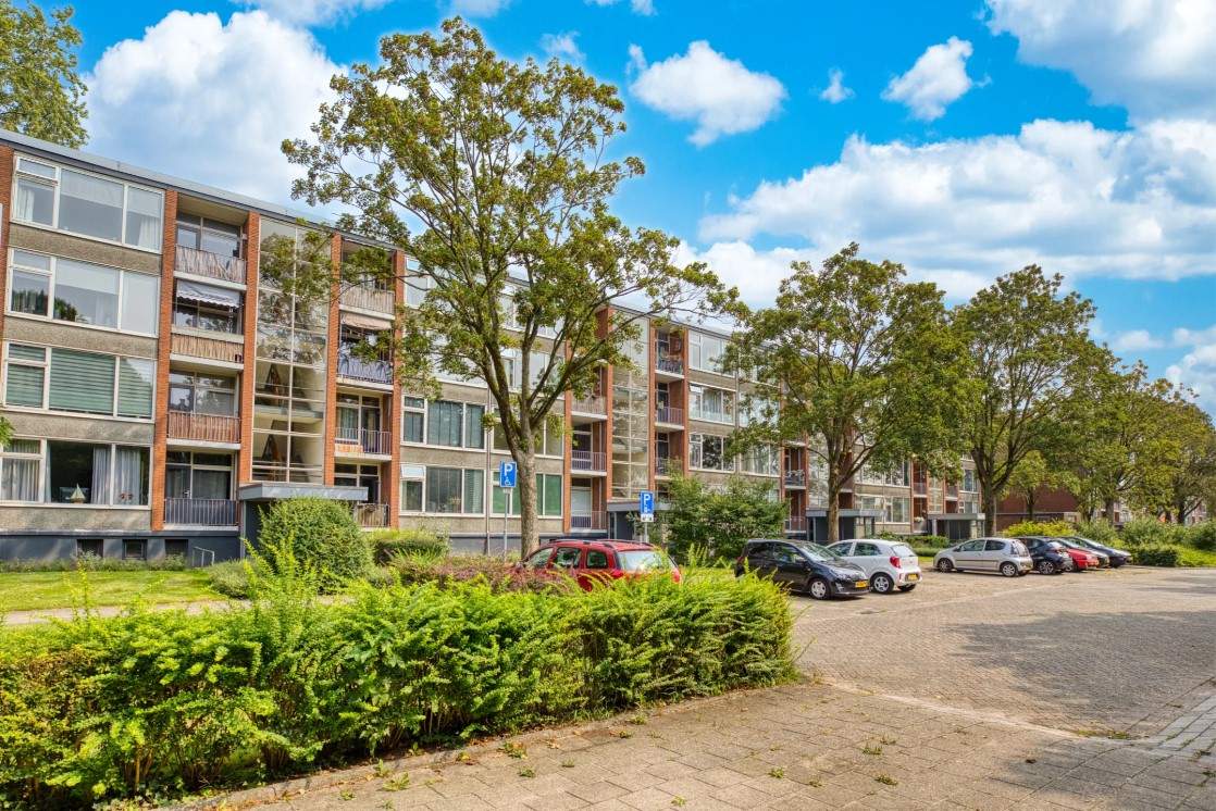 Afbeelding 1 van 35