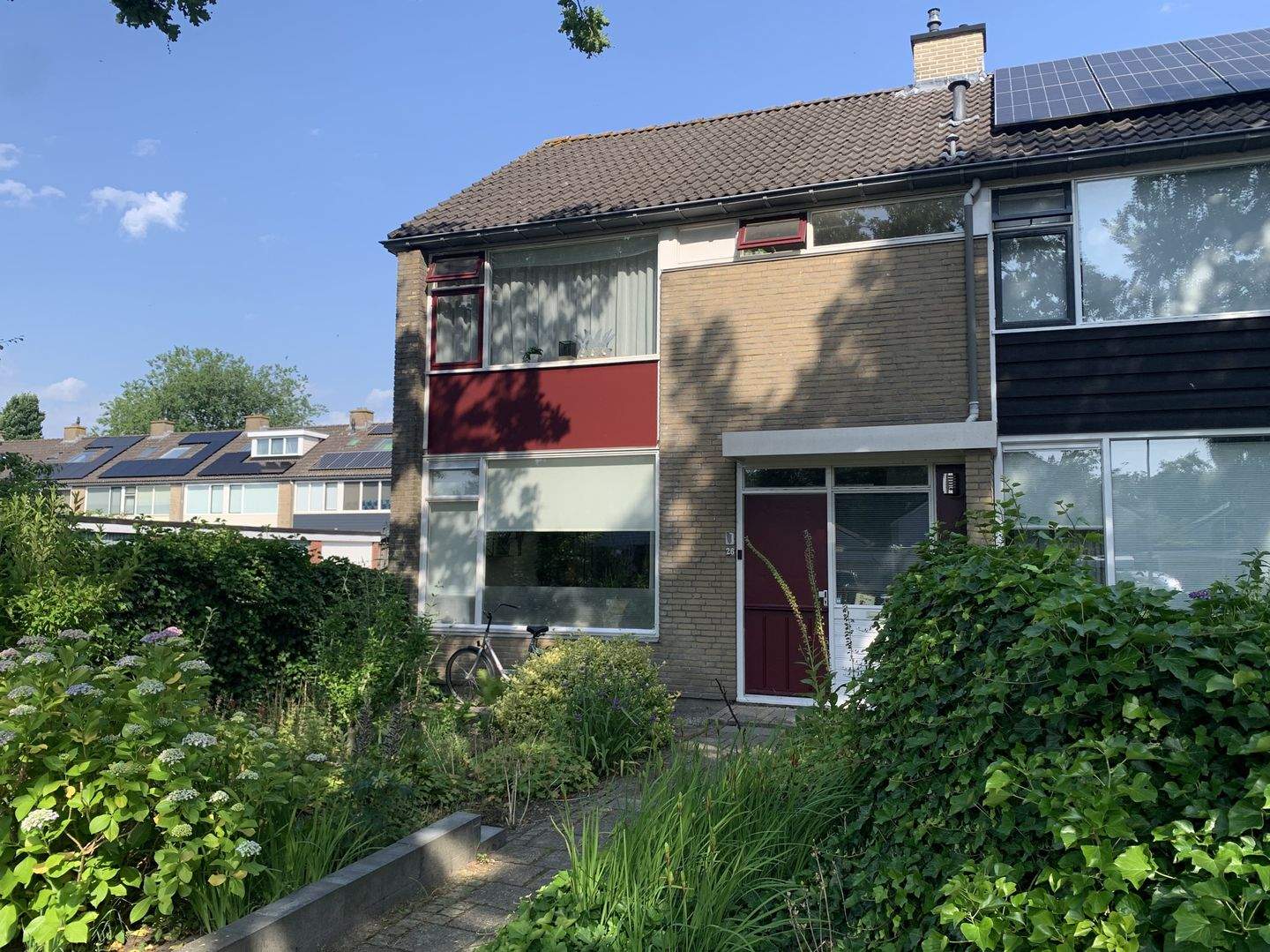 Afbeelding 1 van 12
