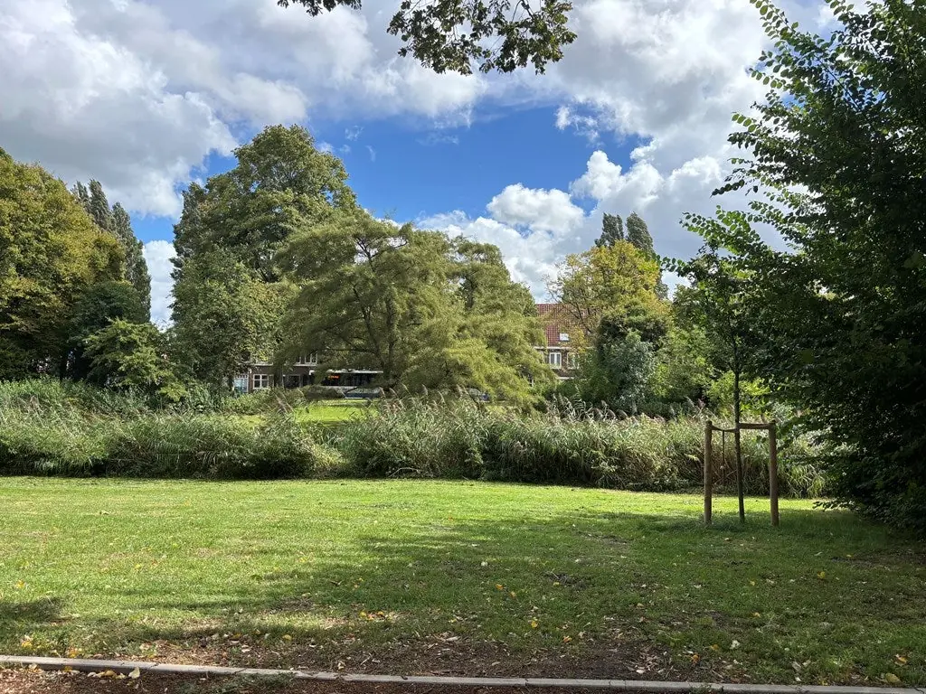Image 19 of 20