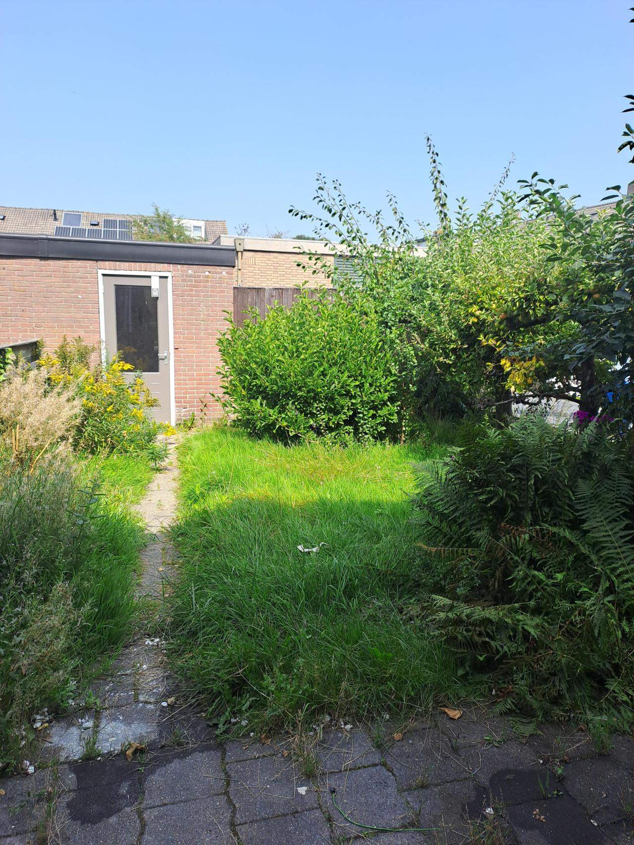 Bild 3 von 9