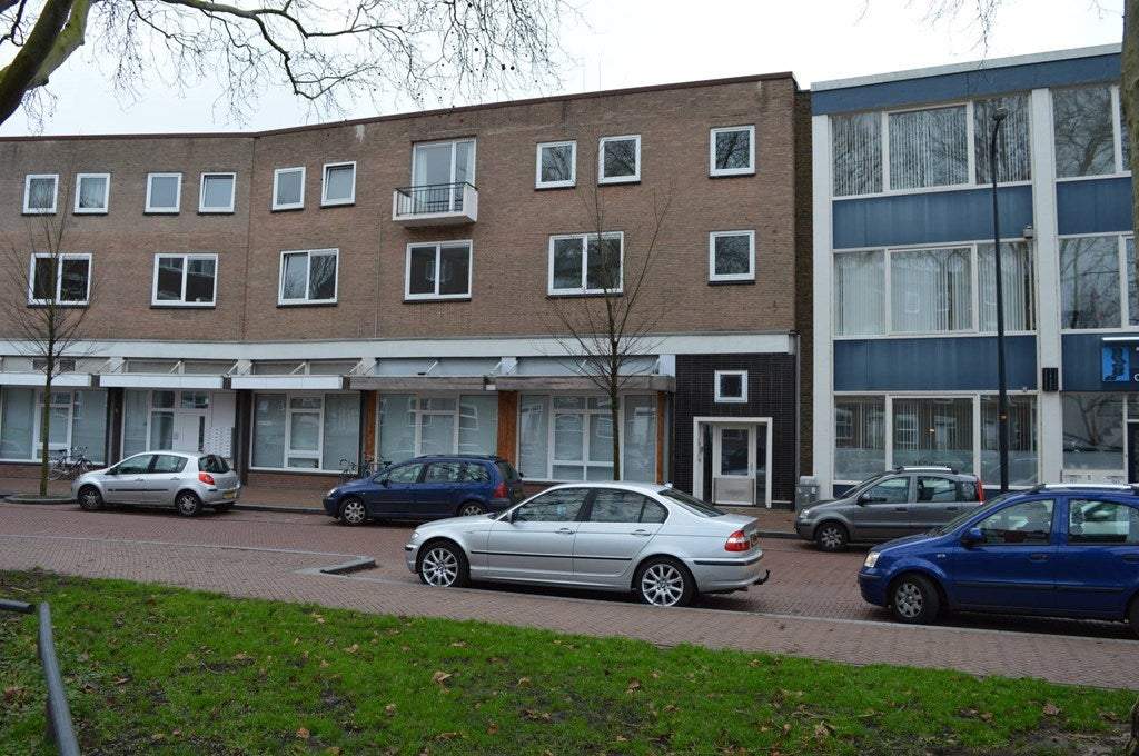 Afbeelding 1 van 21
