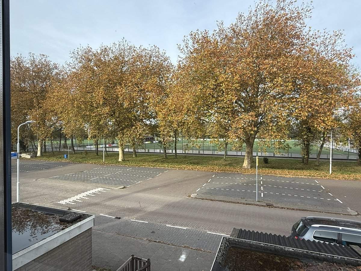 Afbeelding 20 van 24