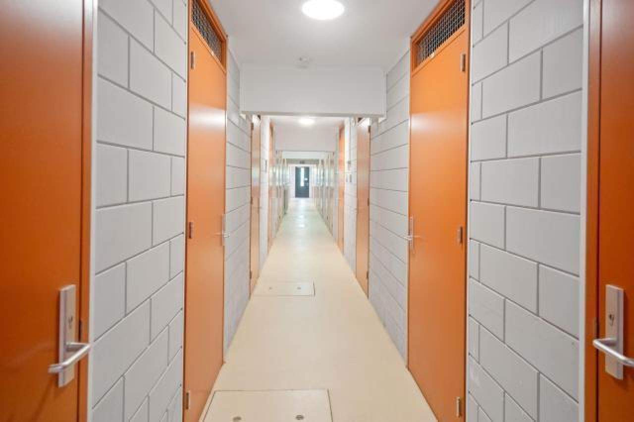 Image 5 of 9