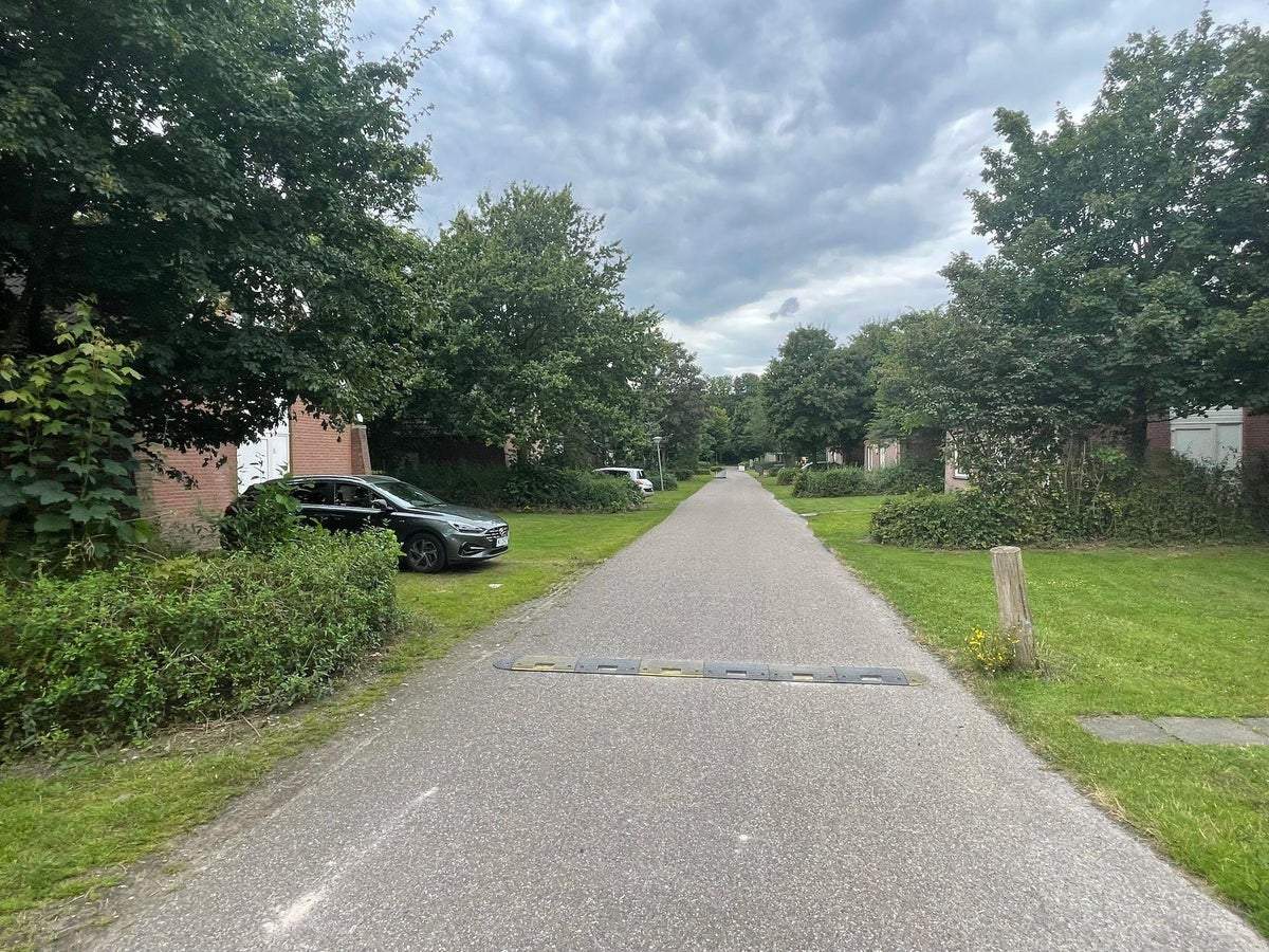 Afbeelding 3 van 6