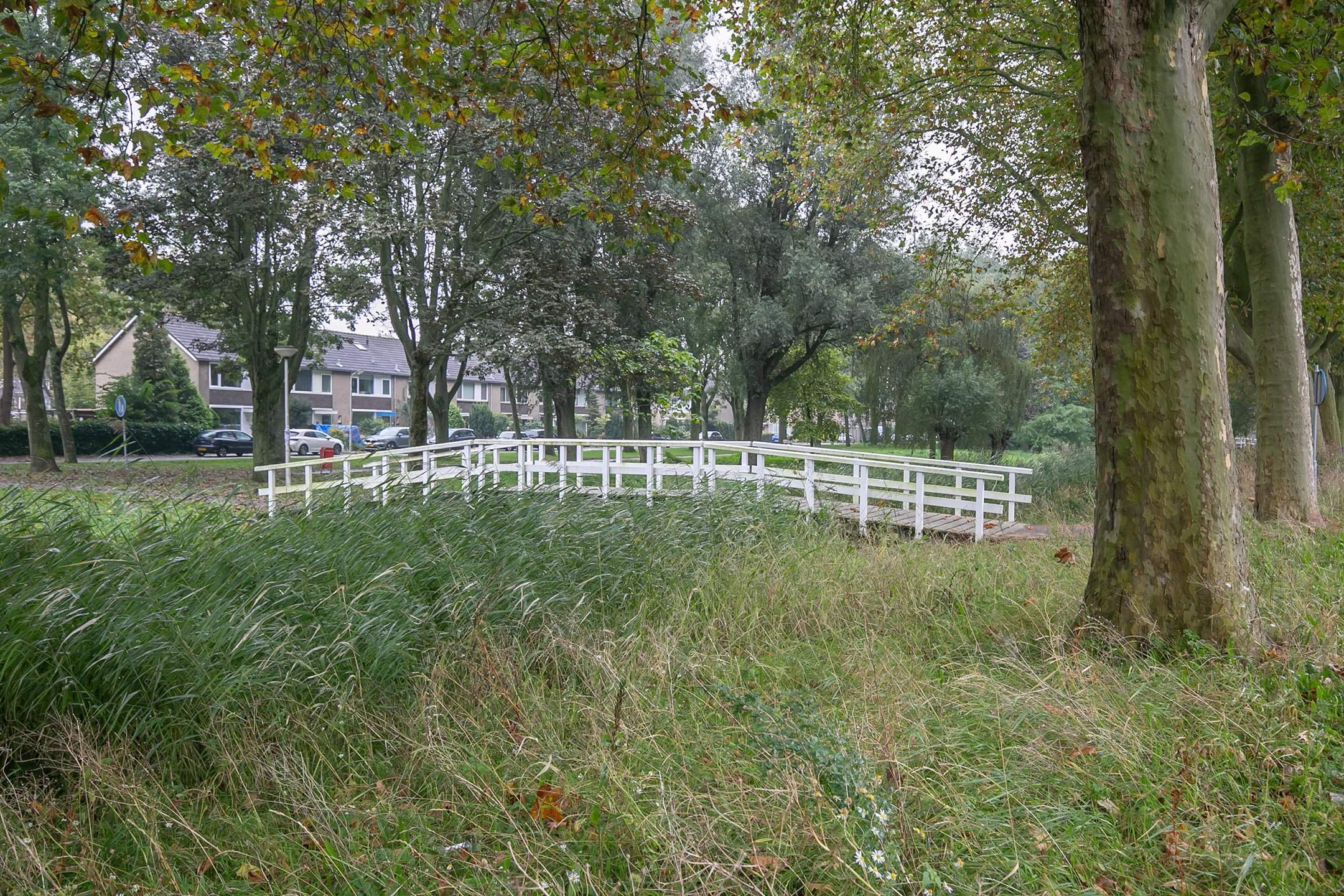 Bild 25 von 31