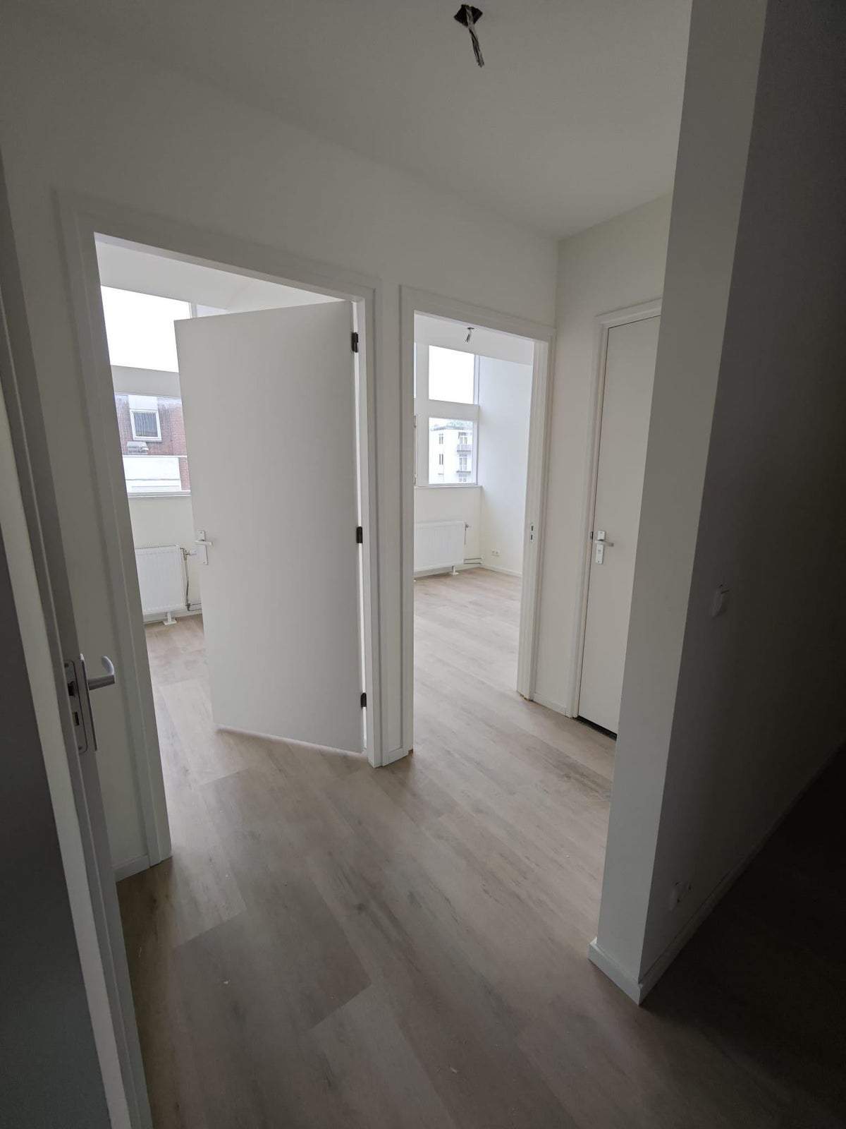 Bild 3 von 12