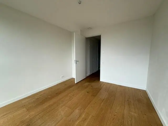 Image 9 of 15