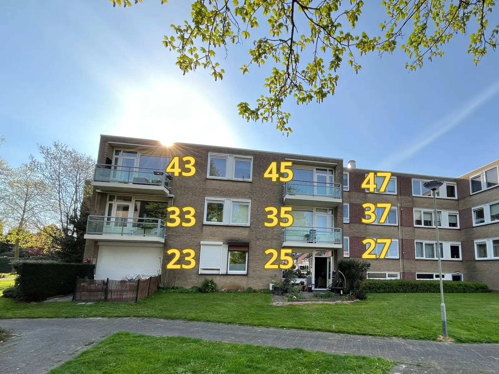 Afbeelding 1 van 1