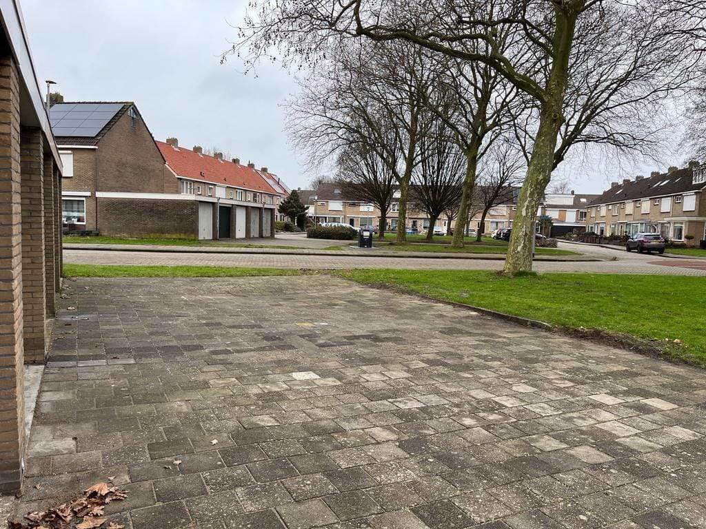 Afbeelding 2 van 6