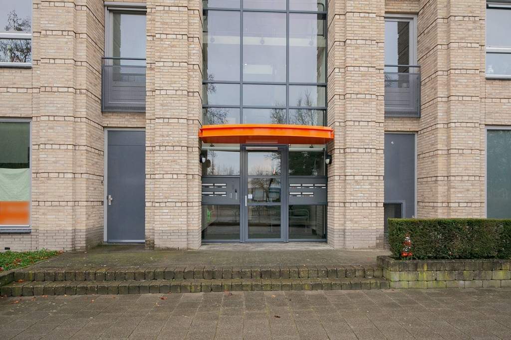 Afbeelding 3 van 38