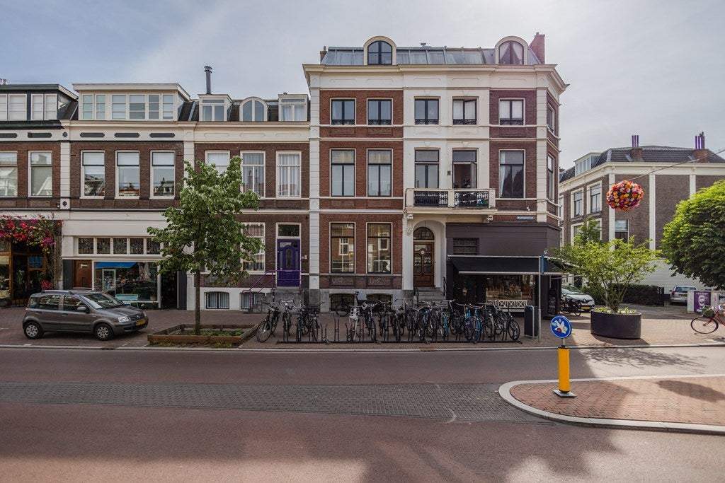 Afbeelding 1 van 13