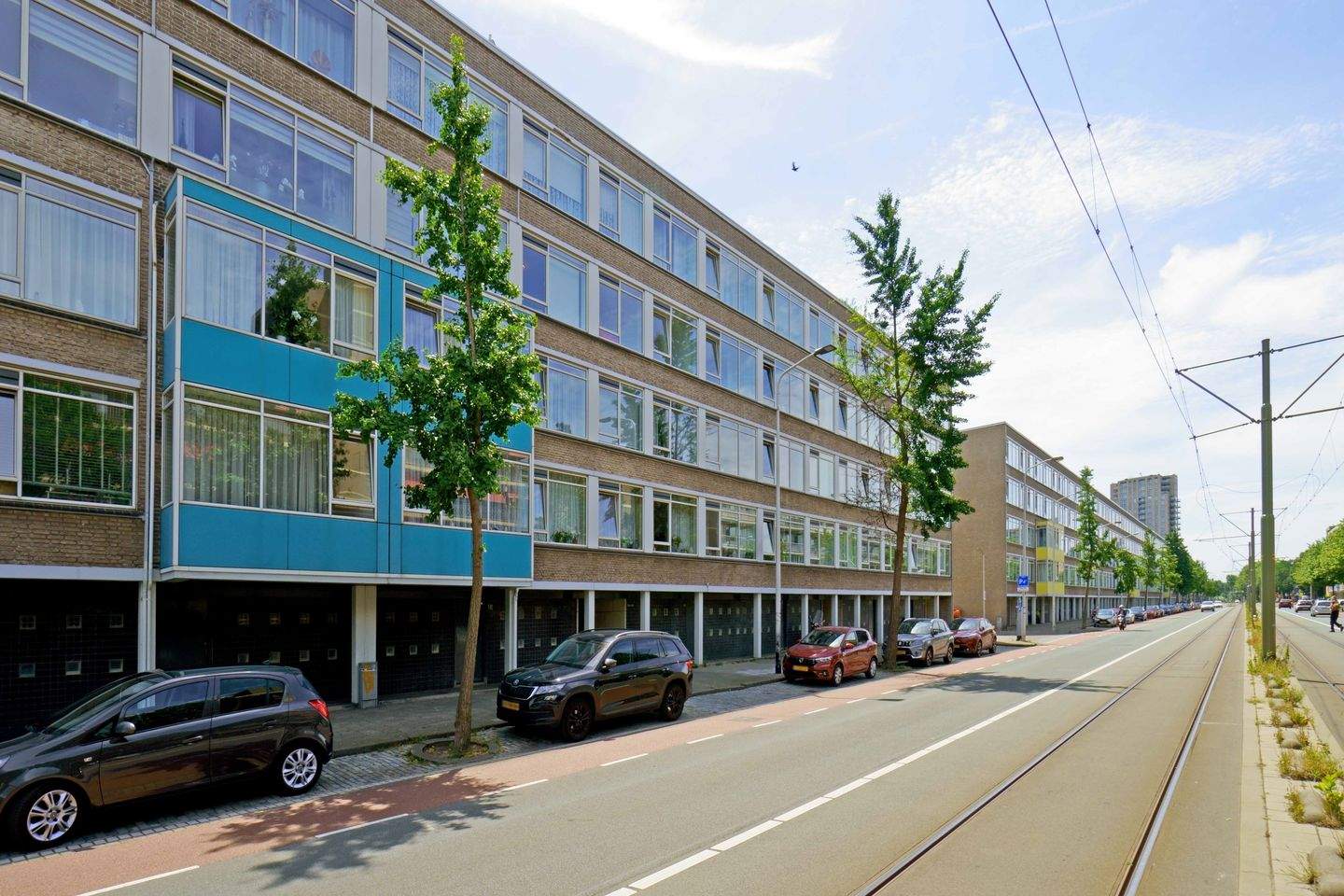 Afbeelding 1 van 12