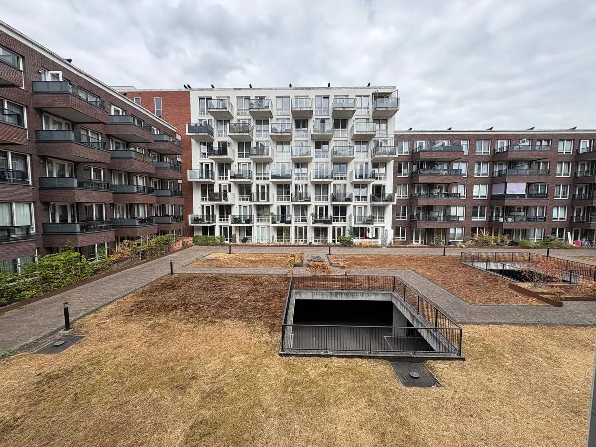 Image 9 of 9