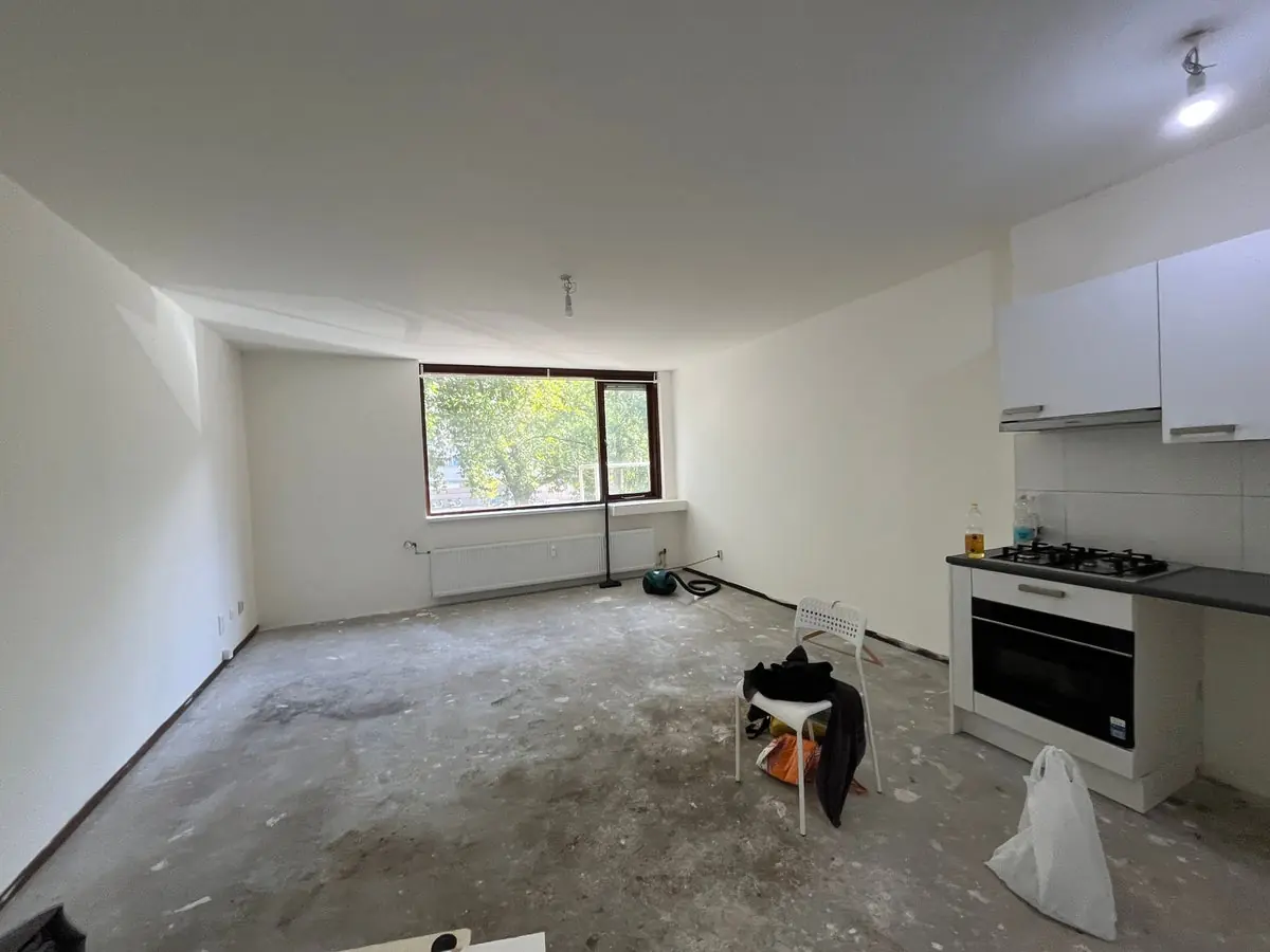 Image 8 of 10