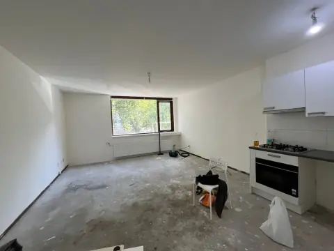 Flat Granaathorst 179, Den Haag - For Rent