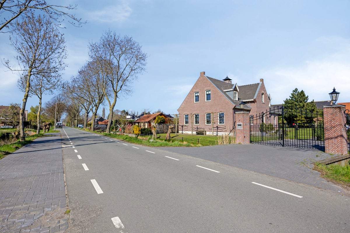 Afbeelding 4 van 75
