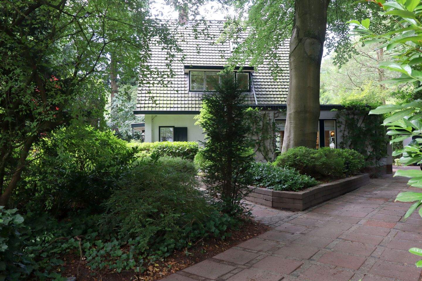 Image 2 of 12