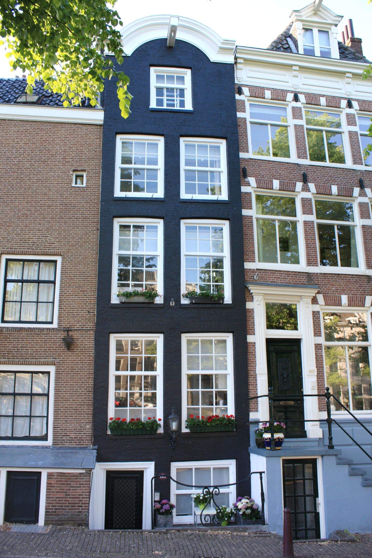 Afbeelding 1 van 12