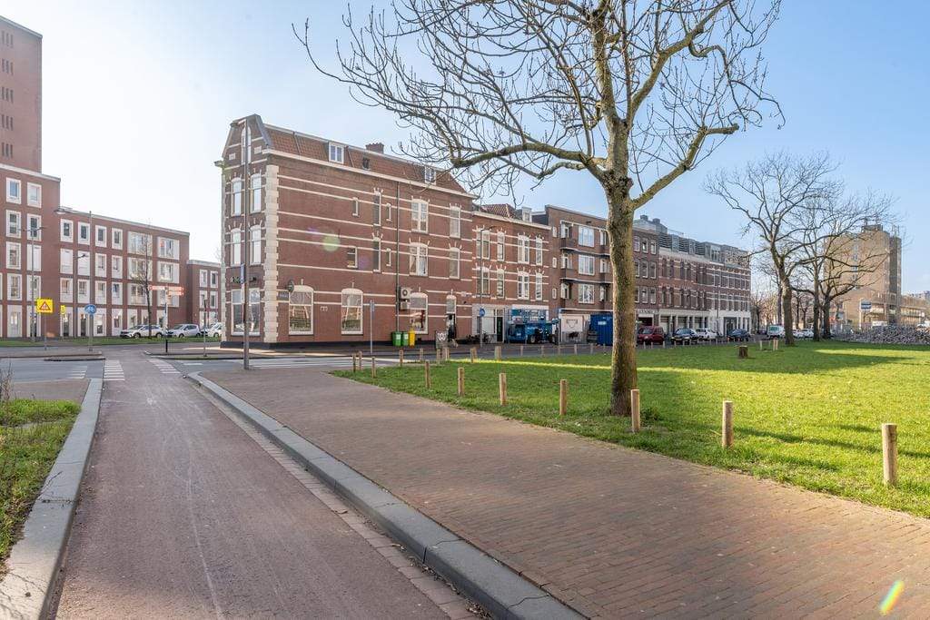 Afbeelding 1 van 12