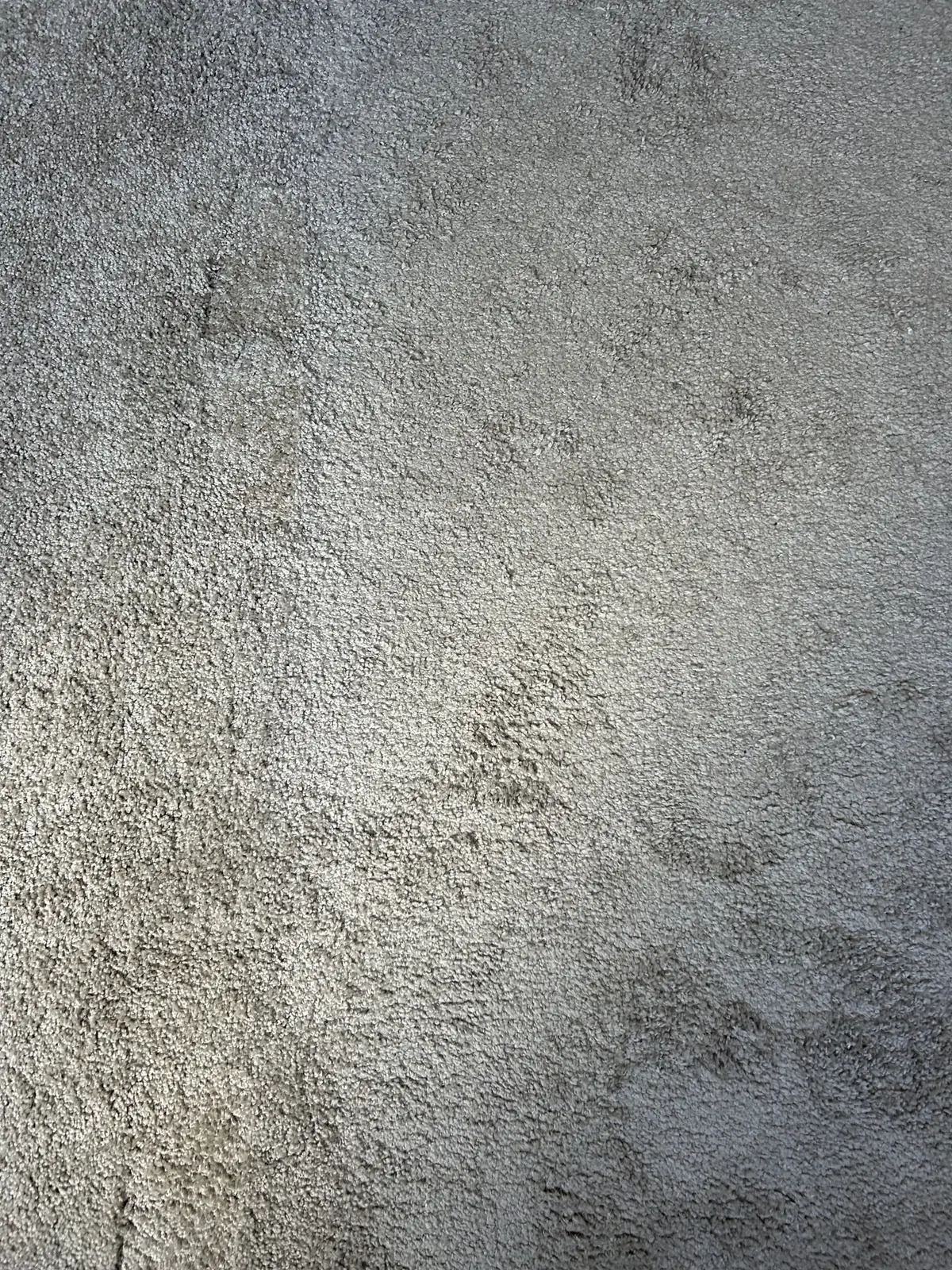 Image 18 sur 20