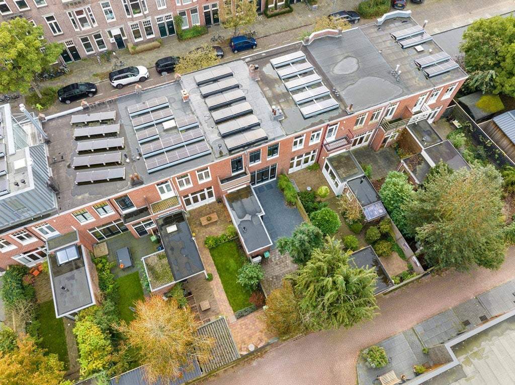 Afbeelding 2 van 53
