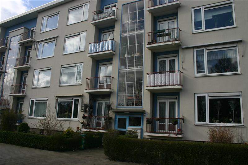 Afbeelding 1 van 11