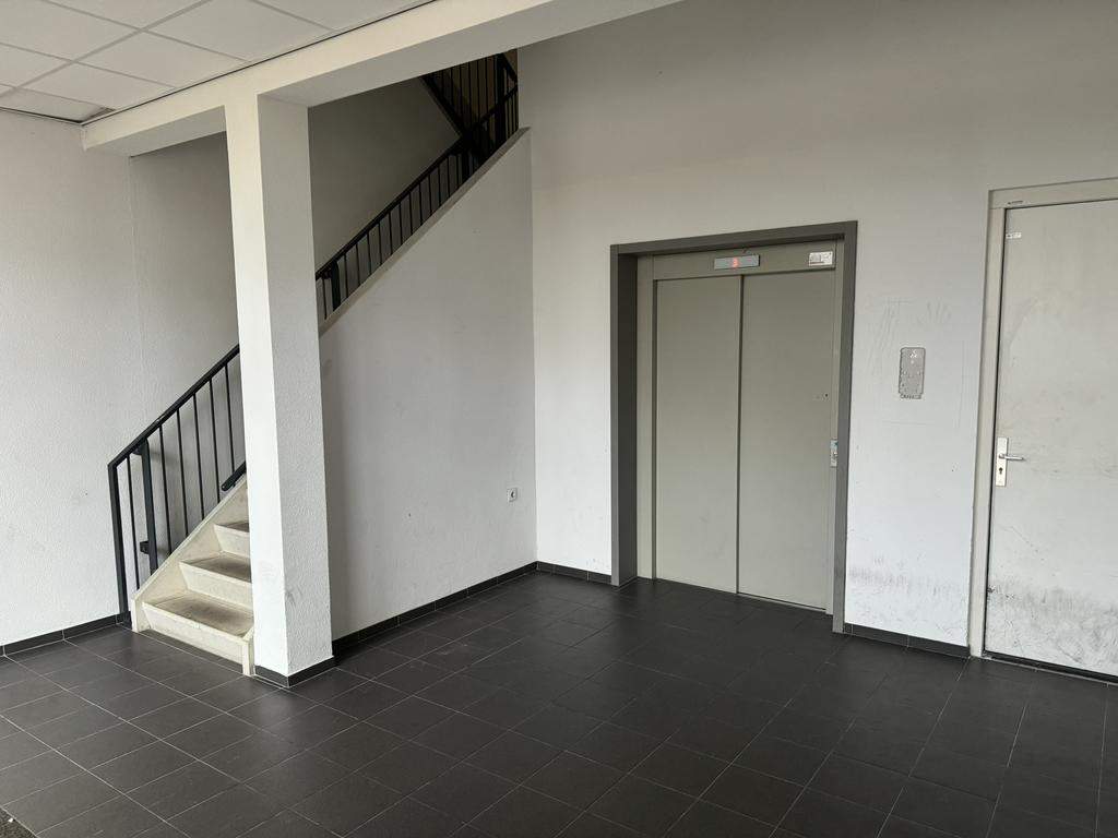 Bild 3 von 12