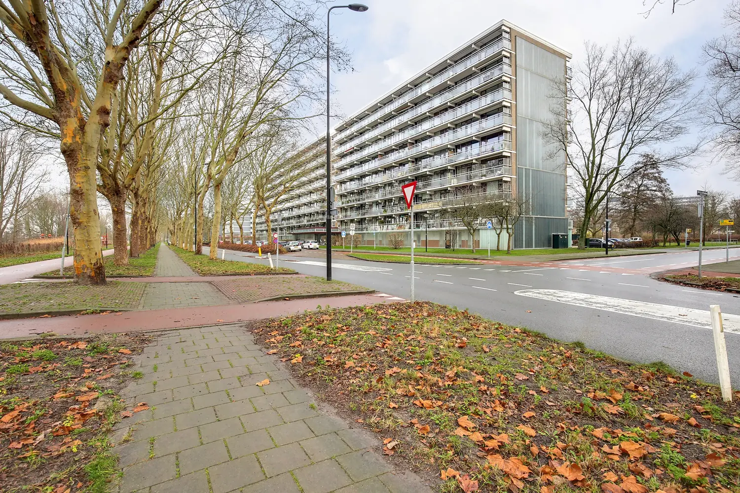 Afbeelding 1 van 10