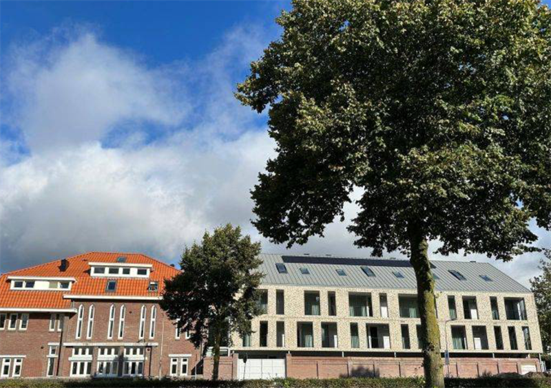 Afbeelding 2 van 12
