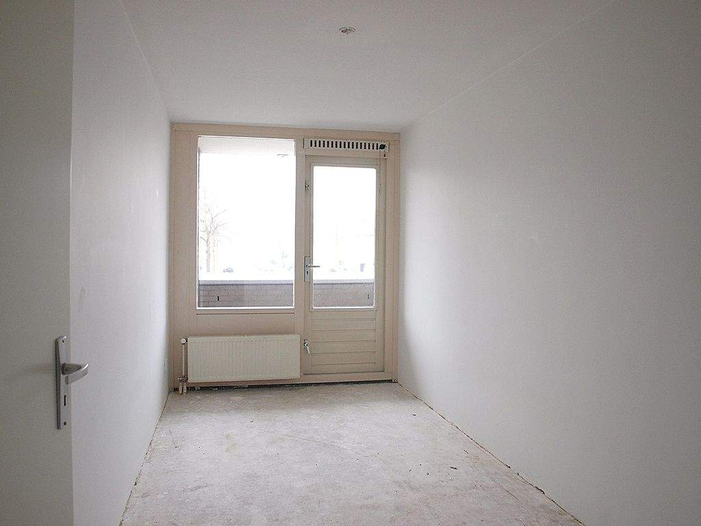 Bild 5 von 8