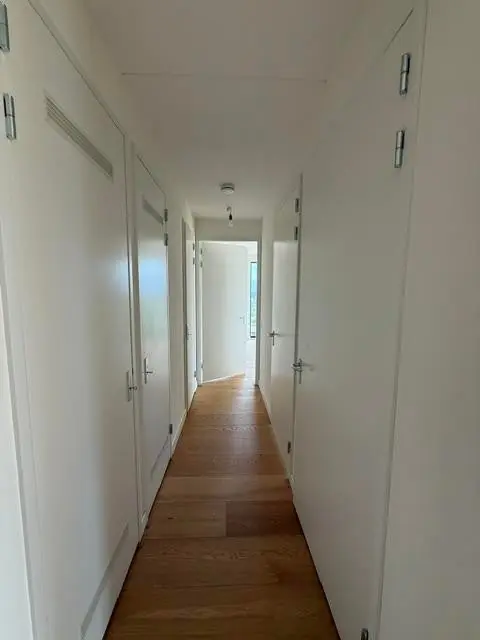 Image 12 of 13