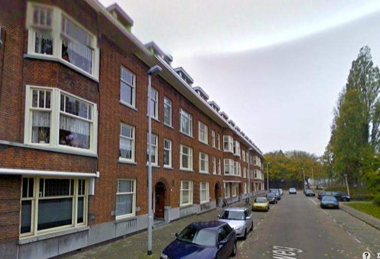Afbeelding 1 van 8