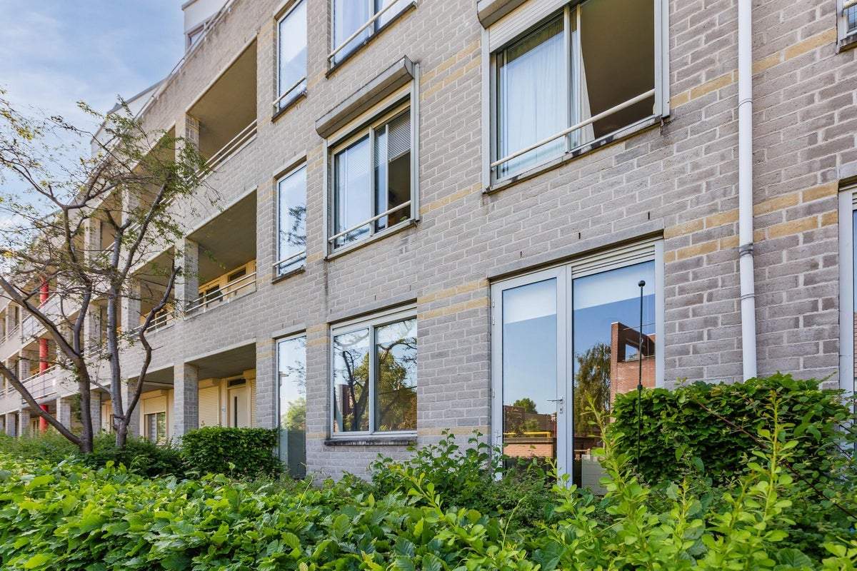 Afbeelding 2 van 23
