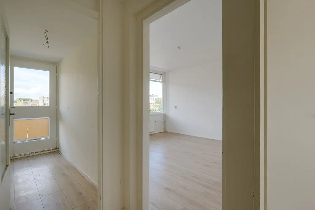 Image 9 of 20