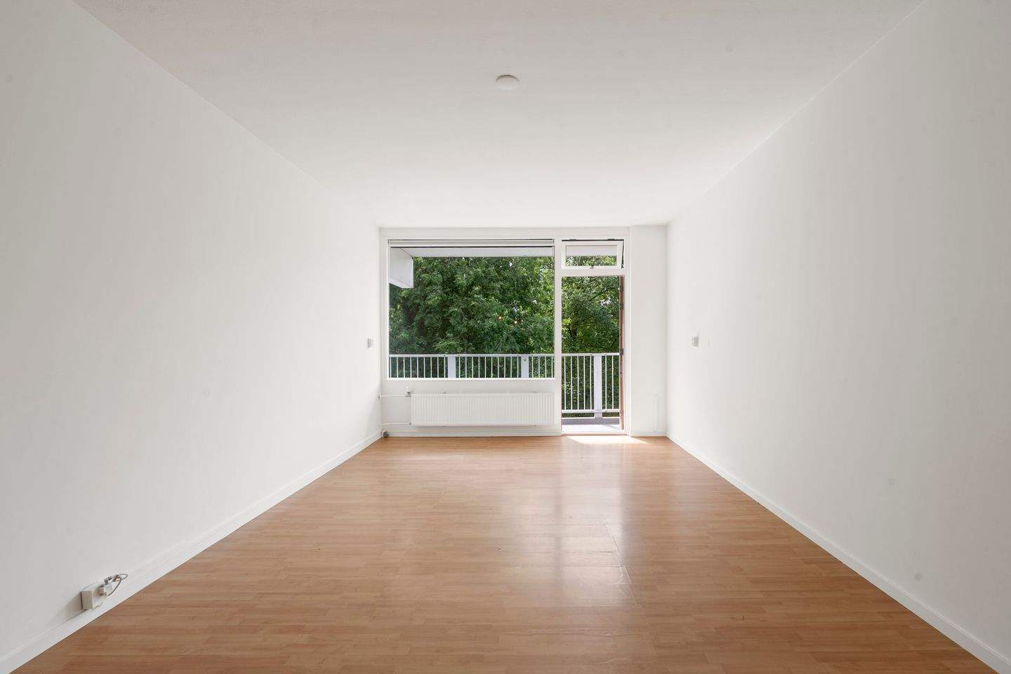 Bild 3 von 12