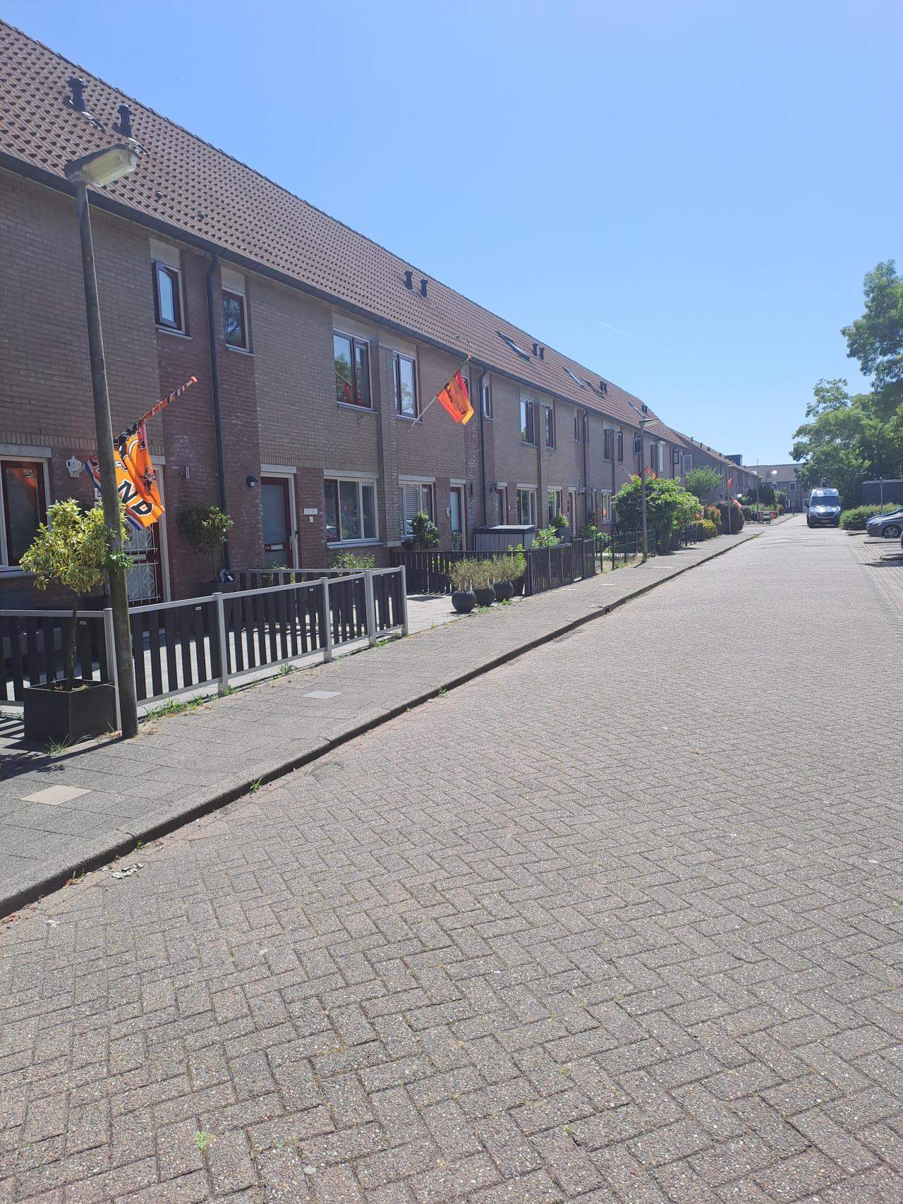 Afbeelding 4 van 9
