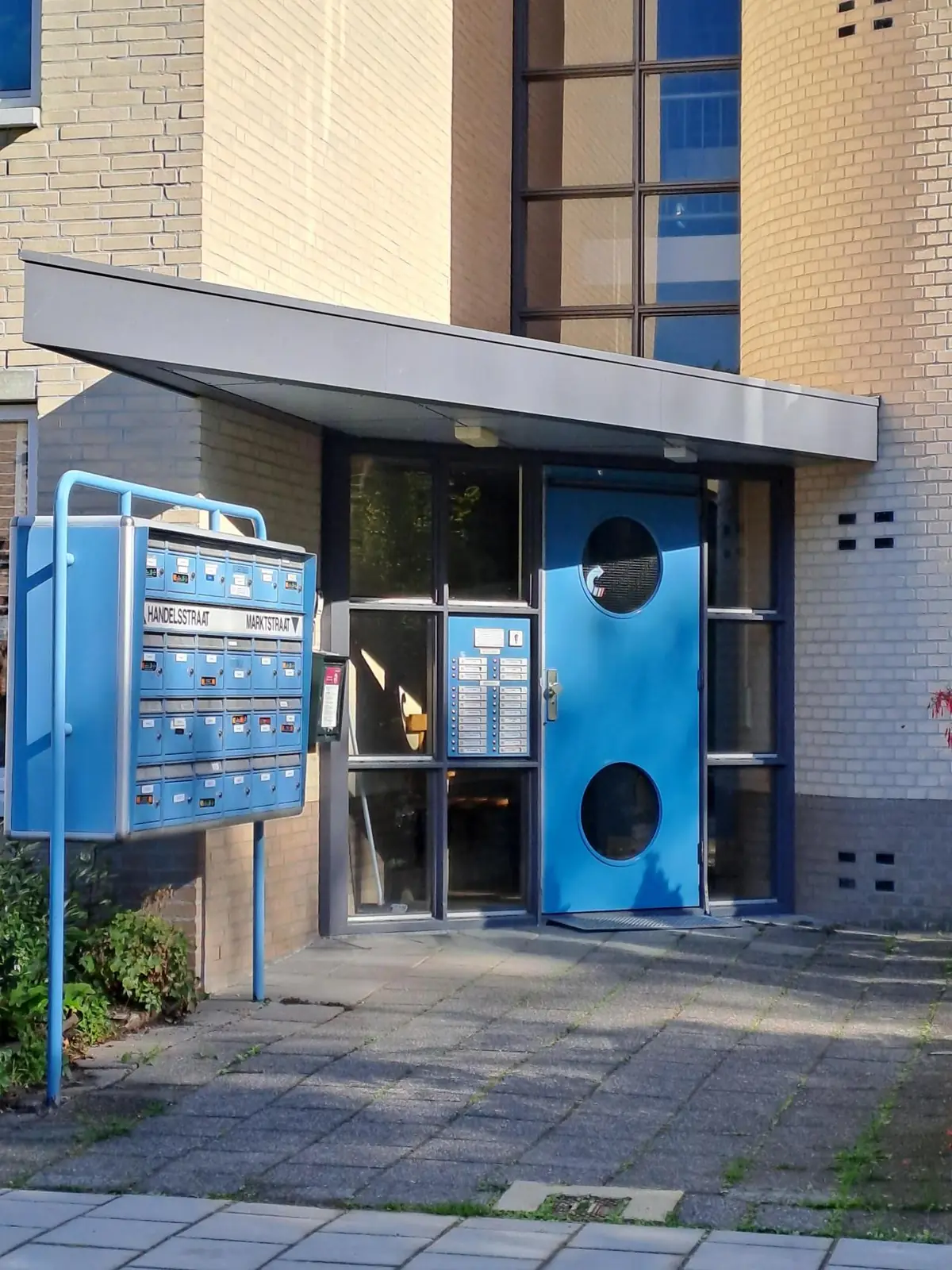 Afbeelding 3 van 16