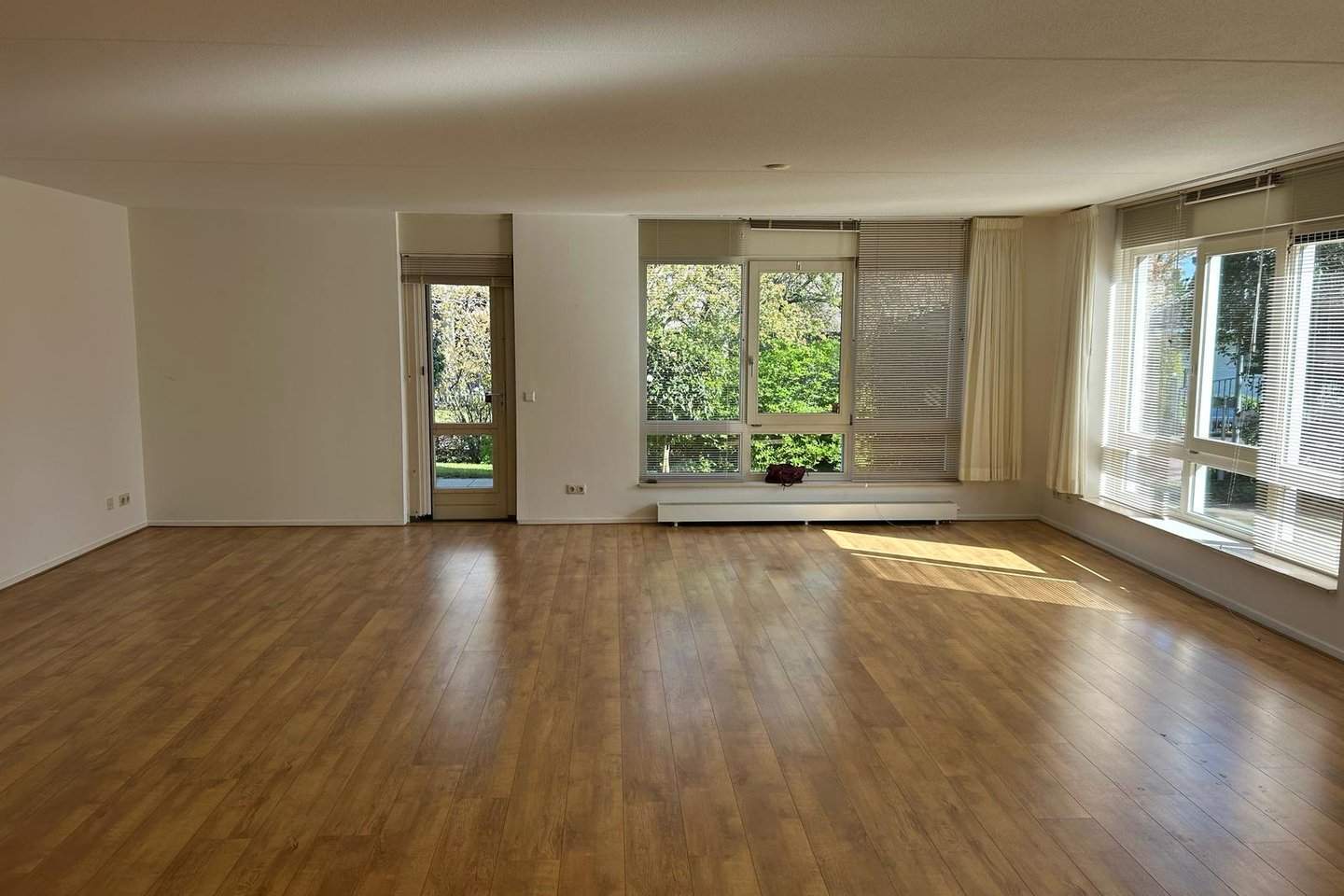 Bild 3 von 12
