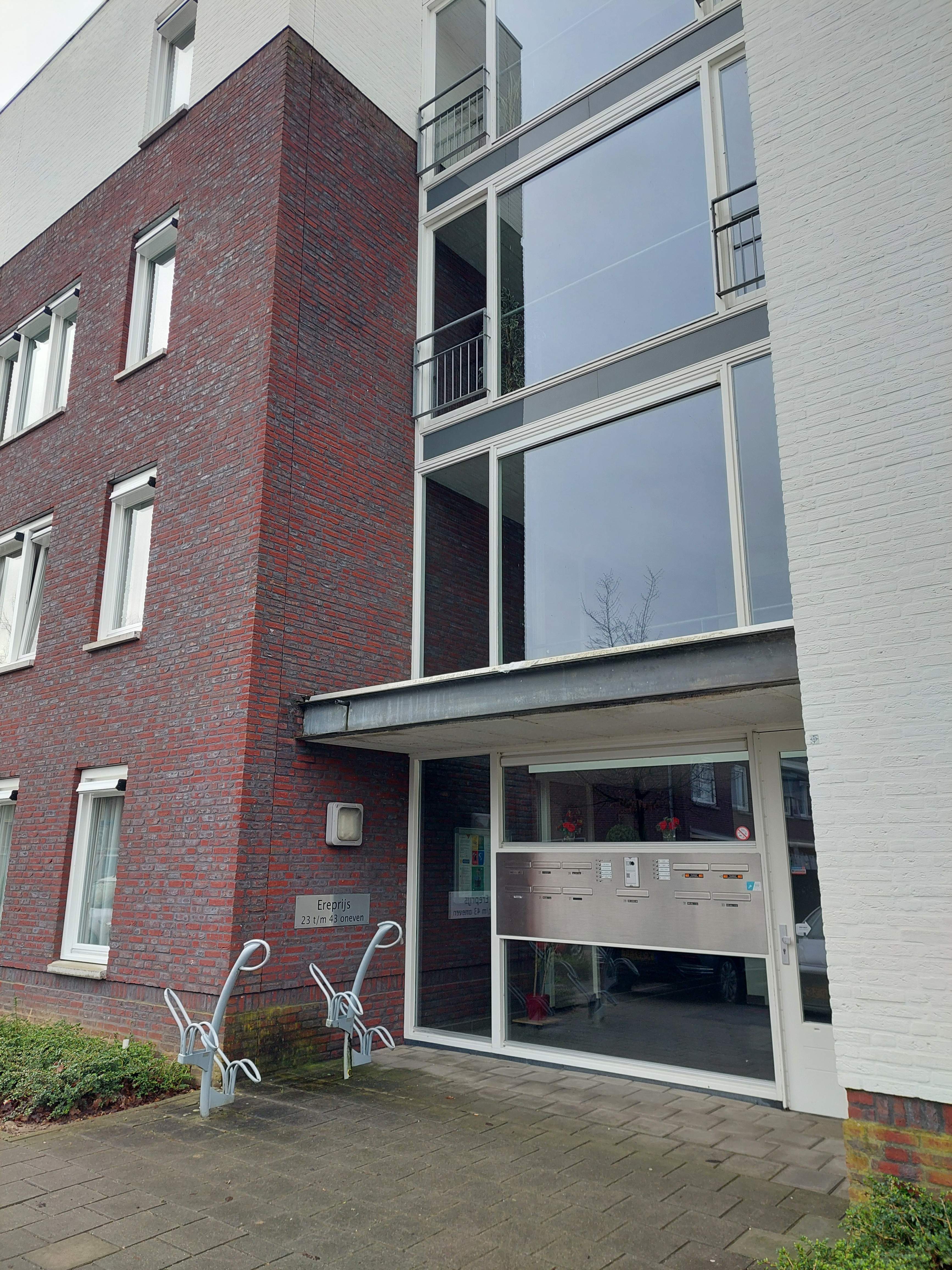 Afbeelding 1 van 1