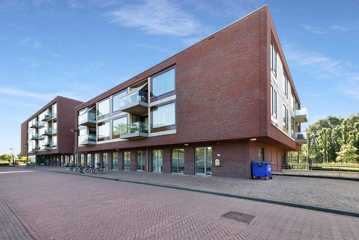 Afbeelding 2 van 16