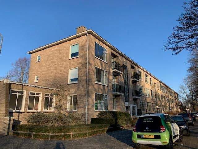 Afbeelding 1 van 23