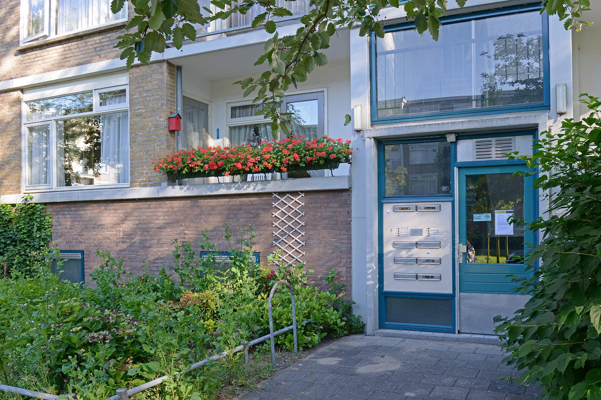 Afbeelding 2 van 5
