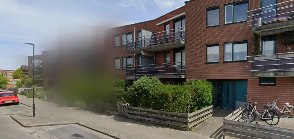 Afbeelding 1 van 1